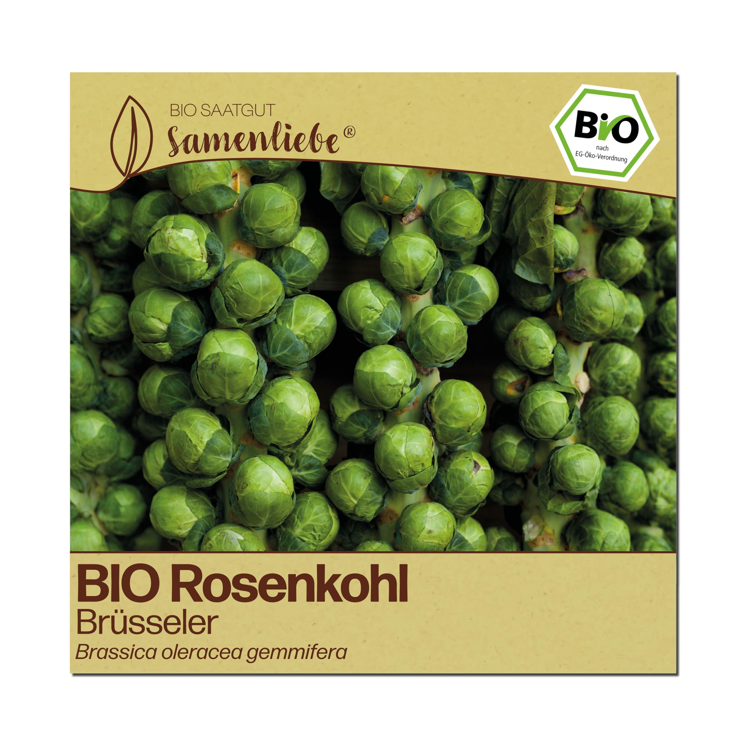Samenliebe BIO Rosenkohl Samen | Kohl Brüsseler Rosenkohl - winterhart & aromatisch - samenfestes BIO Saatgut