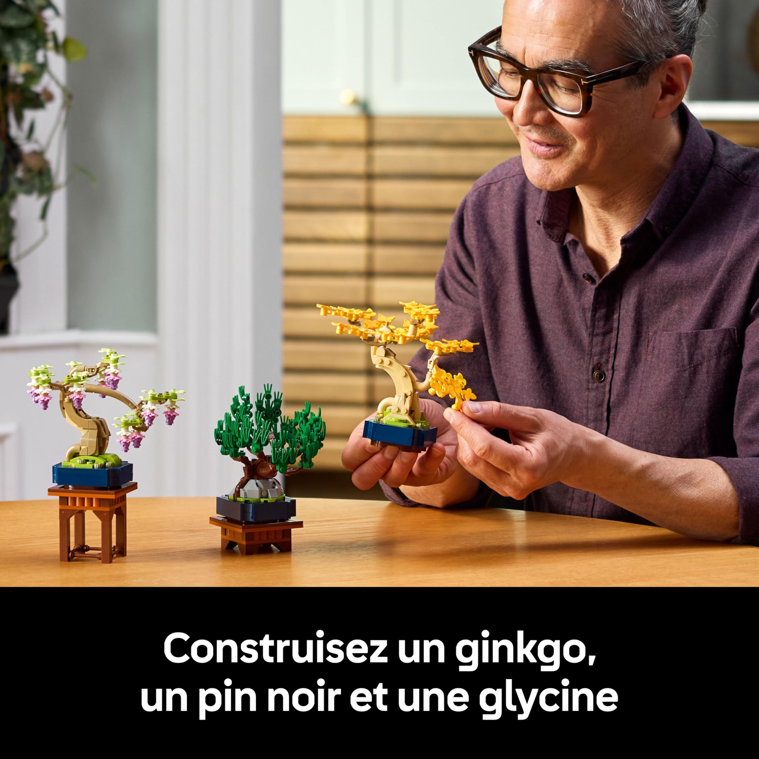 LEGO Botanicals Mini Bonsaïs - Set de Construction pour Adulte - 3 Plantes Artificielles avec Supports : Ginkgo, Pin Noir & Glycine - Maquette DYI pour Décoration Intérieure - Cadeau Original 10373