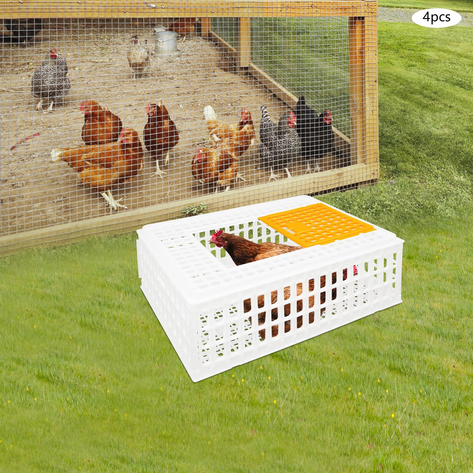Lot de 4 caisses de transport pour volaille 77 x 55,5 x 27 cm - Avec porte coulissante et poignées de transport - Capacité de charge de 200 kg - Extra robuste - Pour volaille, poulet, canard, oie