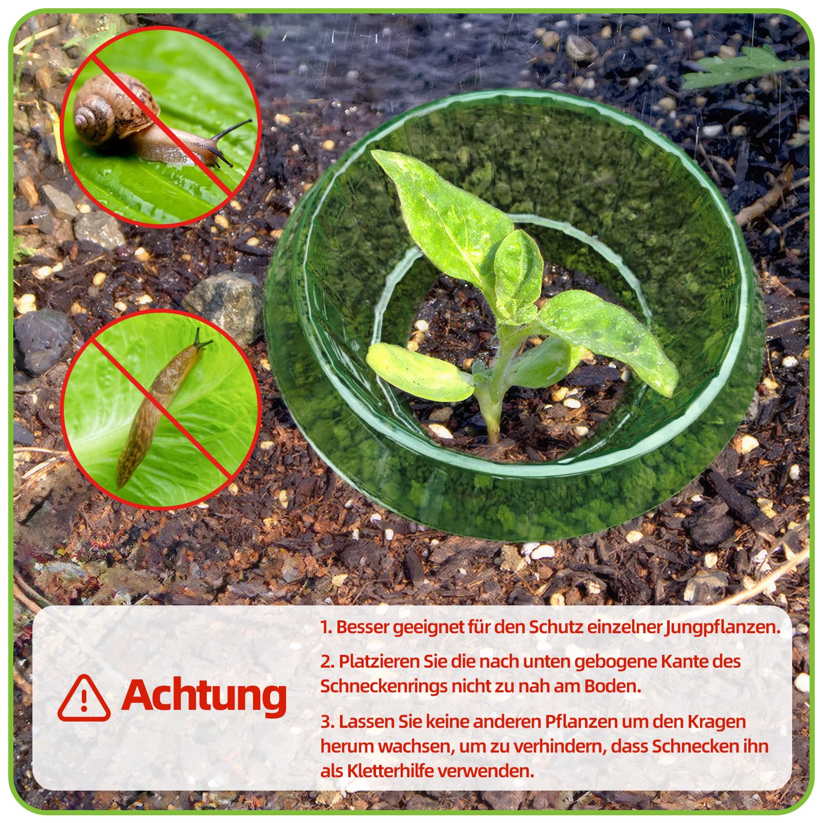 Schneckenkragen, 24 Stück Schneckenschutzringe, Effektiver Schneckenschutz für Salat und Kohl, Schneckenkragen aus Robustem Kunststoff, Wiederwendbare Schneckenabwehr für Gartenpflanzen