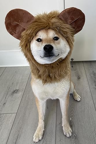 Miniatura 2 de ComfyCamper Disfraz de oso peludo para perro, lindos disfraces de león de animales, cosplay para mascotas, Halloween, Navidad (pequeño)
