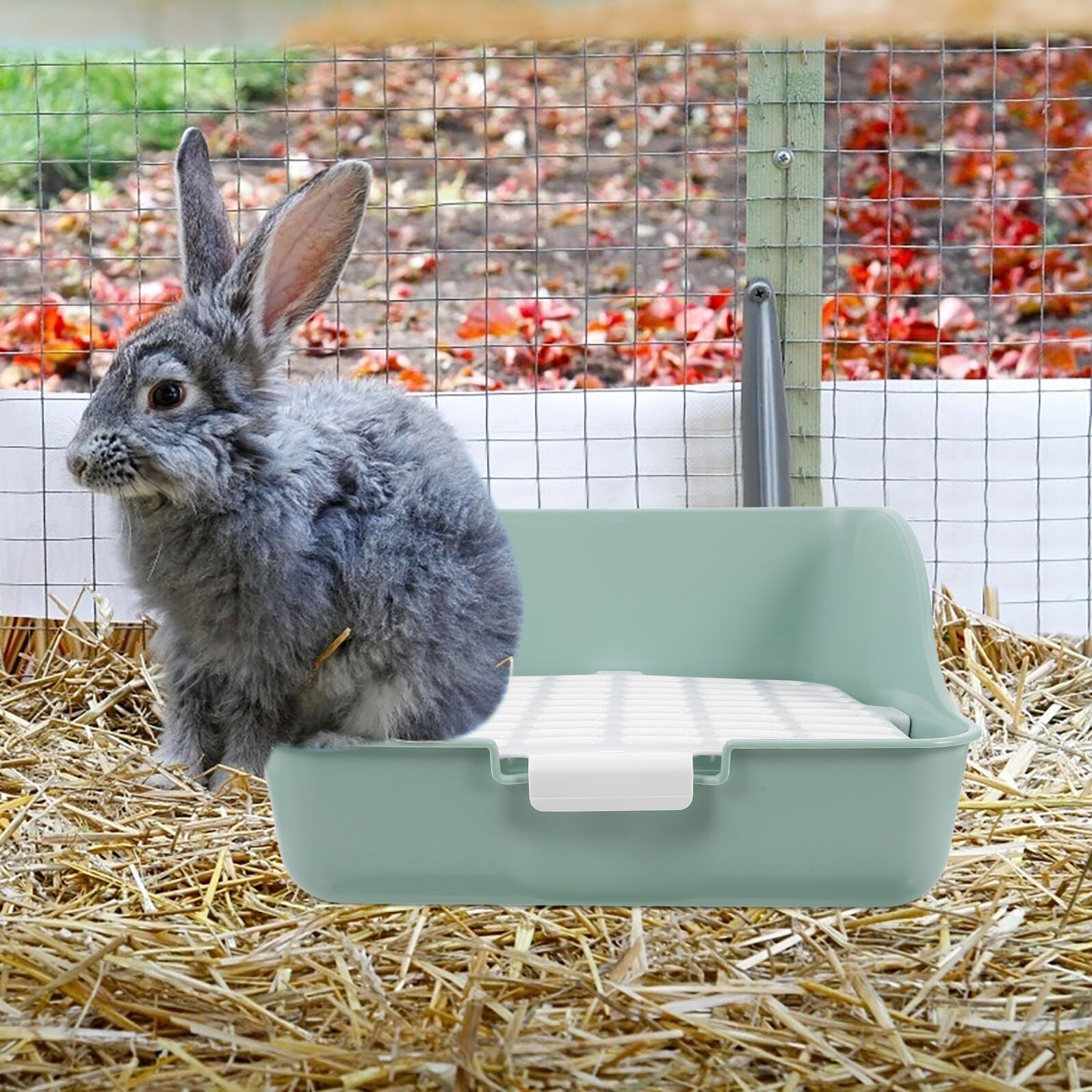 SHINEOFI Eck Katzentoilette für Frettchen und Meerschweinchen aus Abs mit Vier Ecken Hellgrün Bietet Viel Platz und Komfortable Umgebung fürs Training