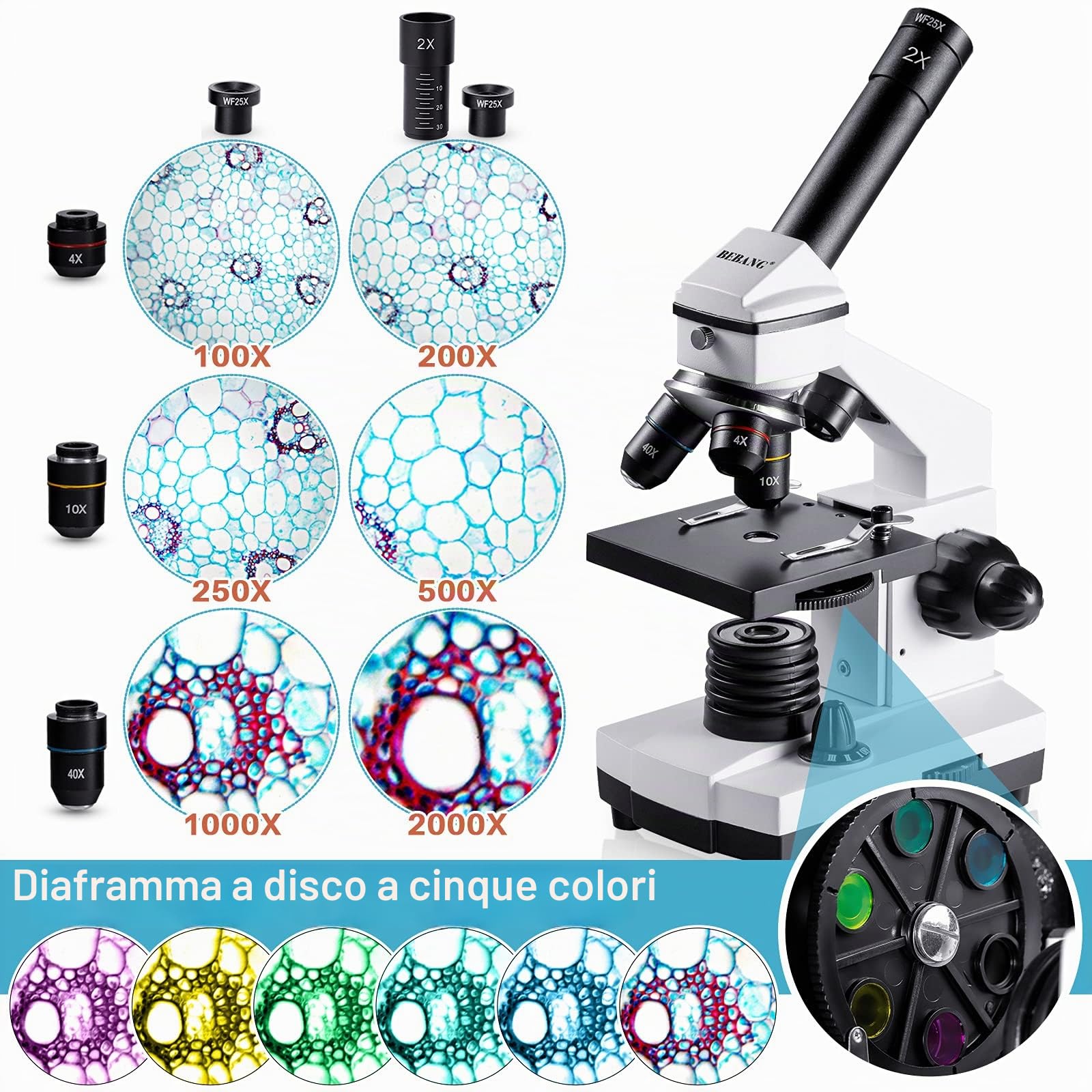 100X-2000X Microscopio Kit per Bambini Adulti: Microscopio per Scienza | Professionale Monoculare Microscopio Set per Studenti Principianti Scuola Laboratorio Casa Biologia Scienza Esperimenti