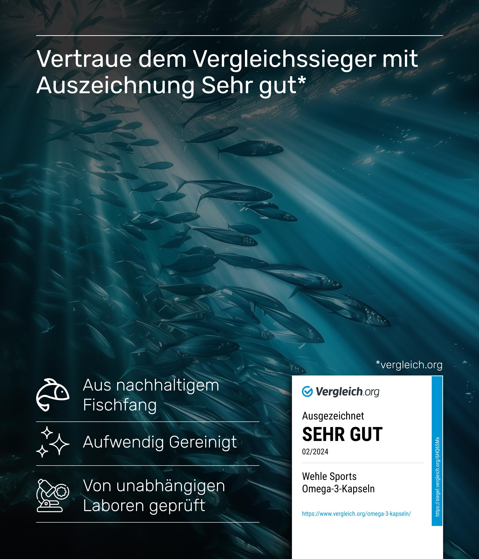 Omega 3 Kapseln hochdosiert - Fischöl Kapseln mit 2000mg (1000mg EPA & 500mg DHA) pro Tagesdosis - Omega-3 Fettsäuren ohne Vitamin E - Aufwendig gereinigt aus nachhaltigem Fischfang