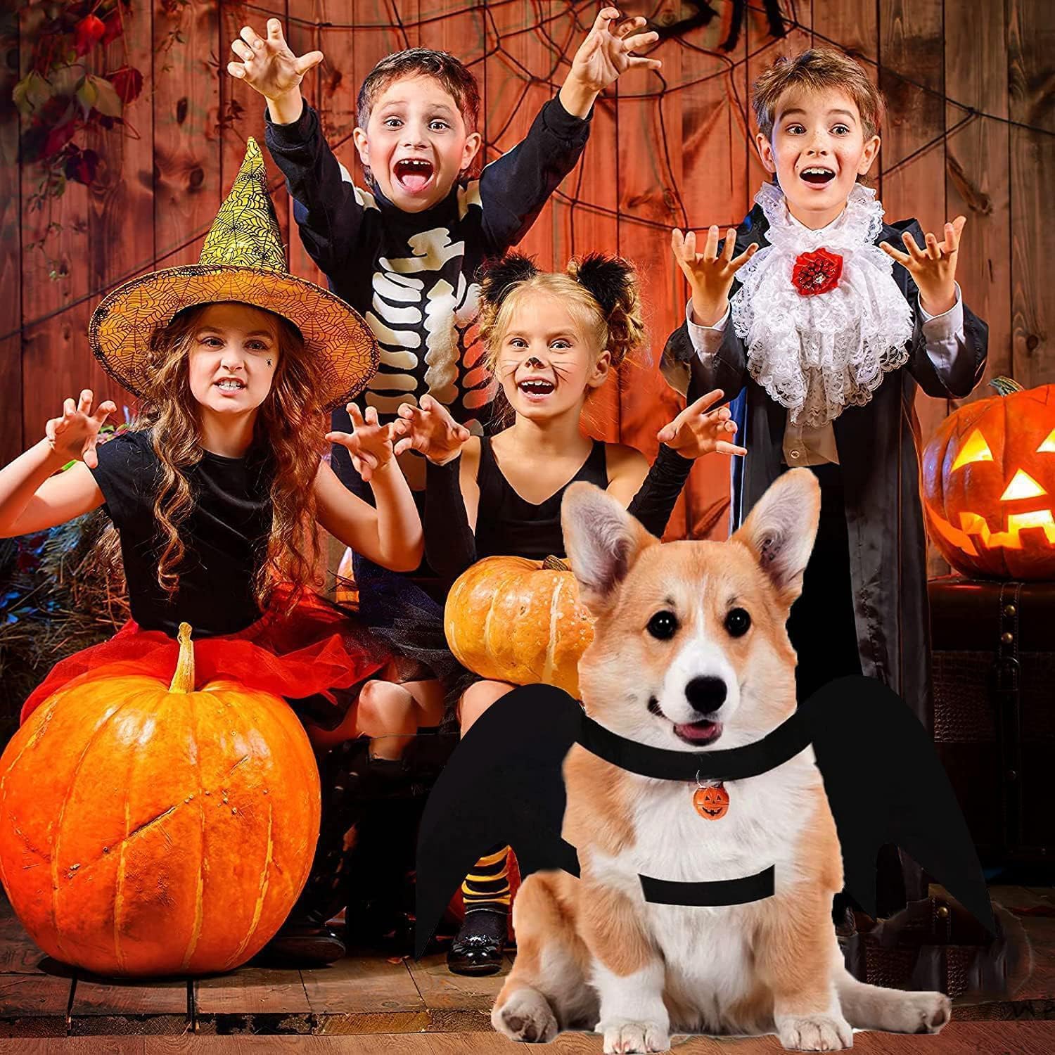 Halloween Cane Gatto per Animale, Cane Gatto Ali per Animali Domestici,Con Zucca Bells, Halloween Ali Di Pipistrello Da Compagnia,Domestici da Cosplay Costumi da Cani Gatti- Taglia M