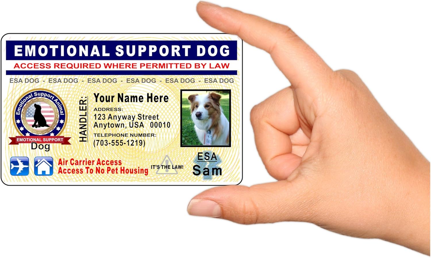 Innovative ID Cards Emotional Support DOG Identification Card - Custom with your Info and Dogs Photo - HOLOGRAPHIC - ESA TAG