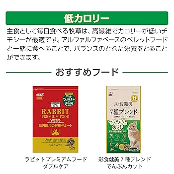 Amazon | 【Amazon.co.jp限定】お得用1.2kg ジェックス 香り