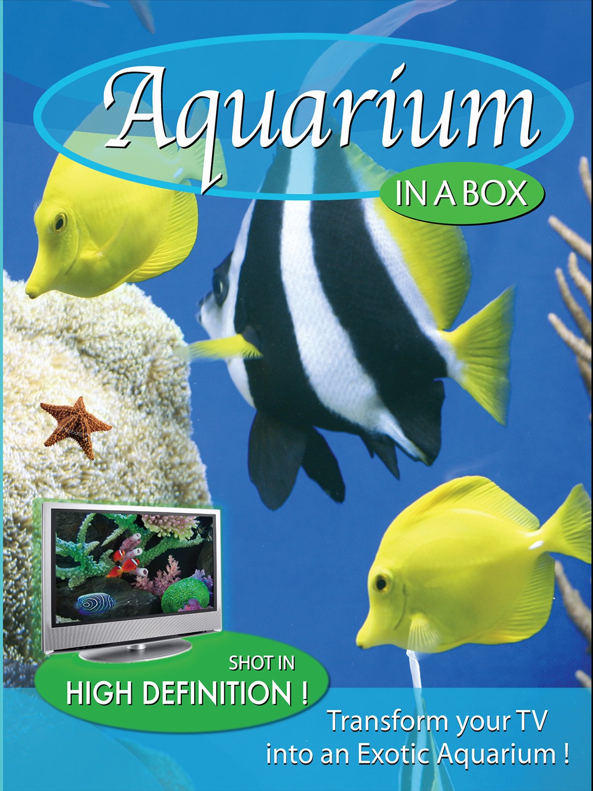 Watch Aquarium In A Box Prime Video