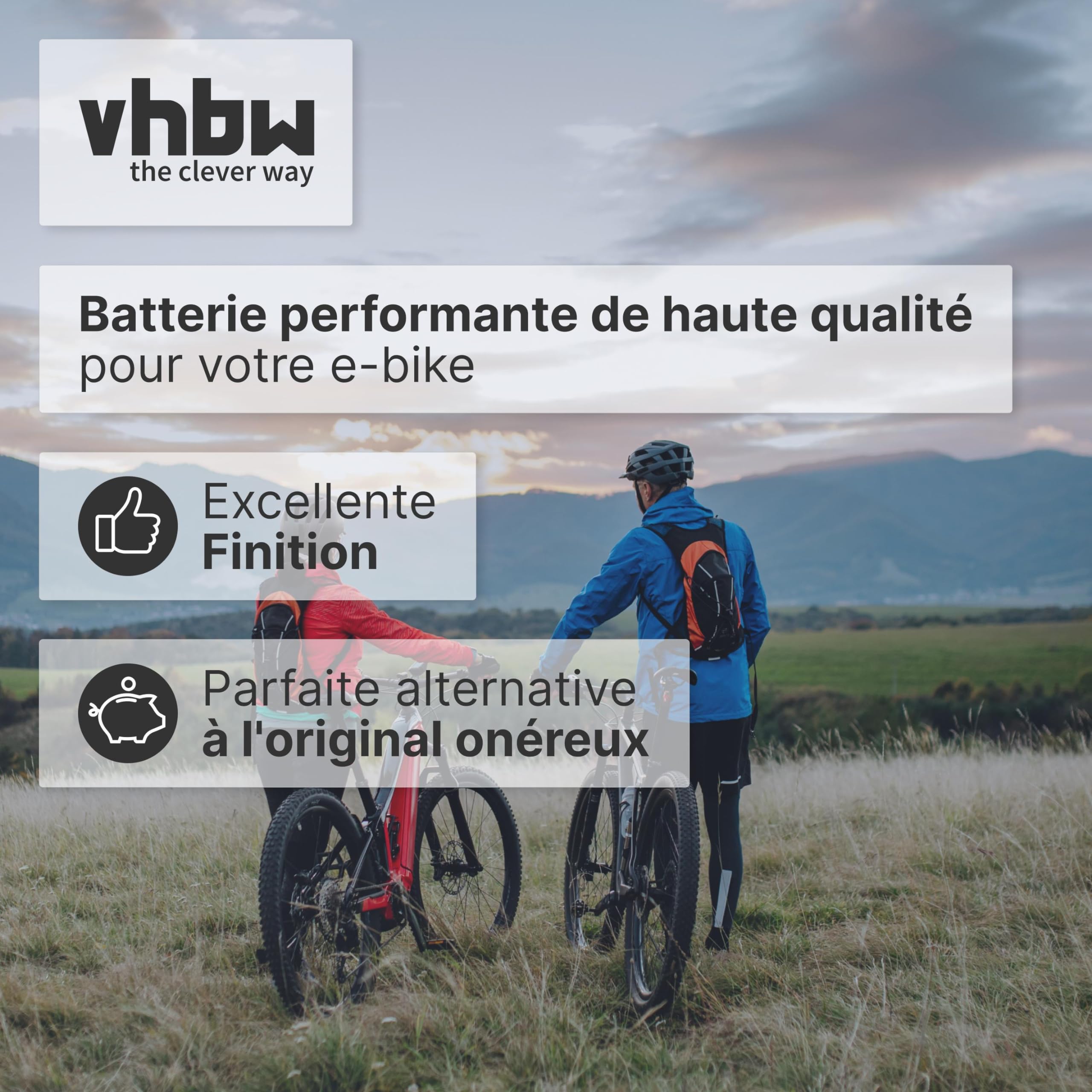 vhbw Batterie Compatible avec Panasonic Flyer T2, T5, T4, T8, T10, T10 HS, T11 HS, T14 HS, S XT 28" vélo électrique (15,6Ah, 25,2V, Li-ION) - argenté