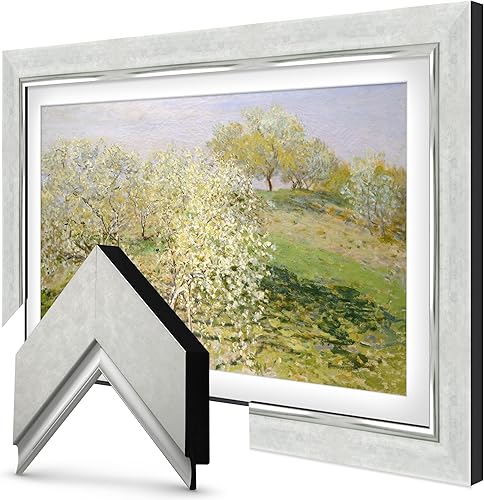 Frame My TV Deco - Marcos de TV - Marco inteligente plateado contemporáneo compatible solo con Samsung The Frame TV y Pro (65 pulgadas, compatible