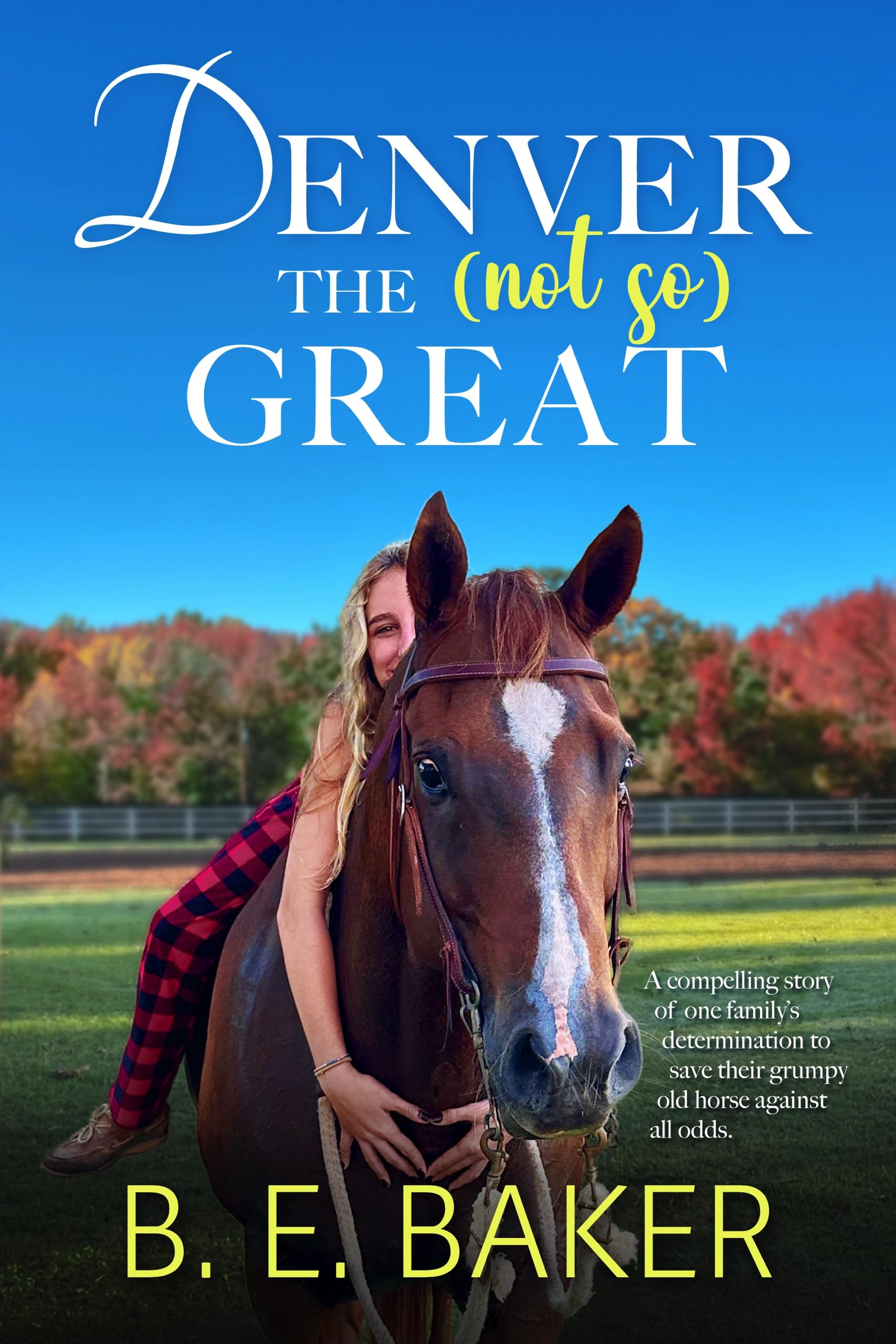 Denver the (not so) Great