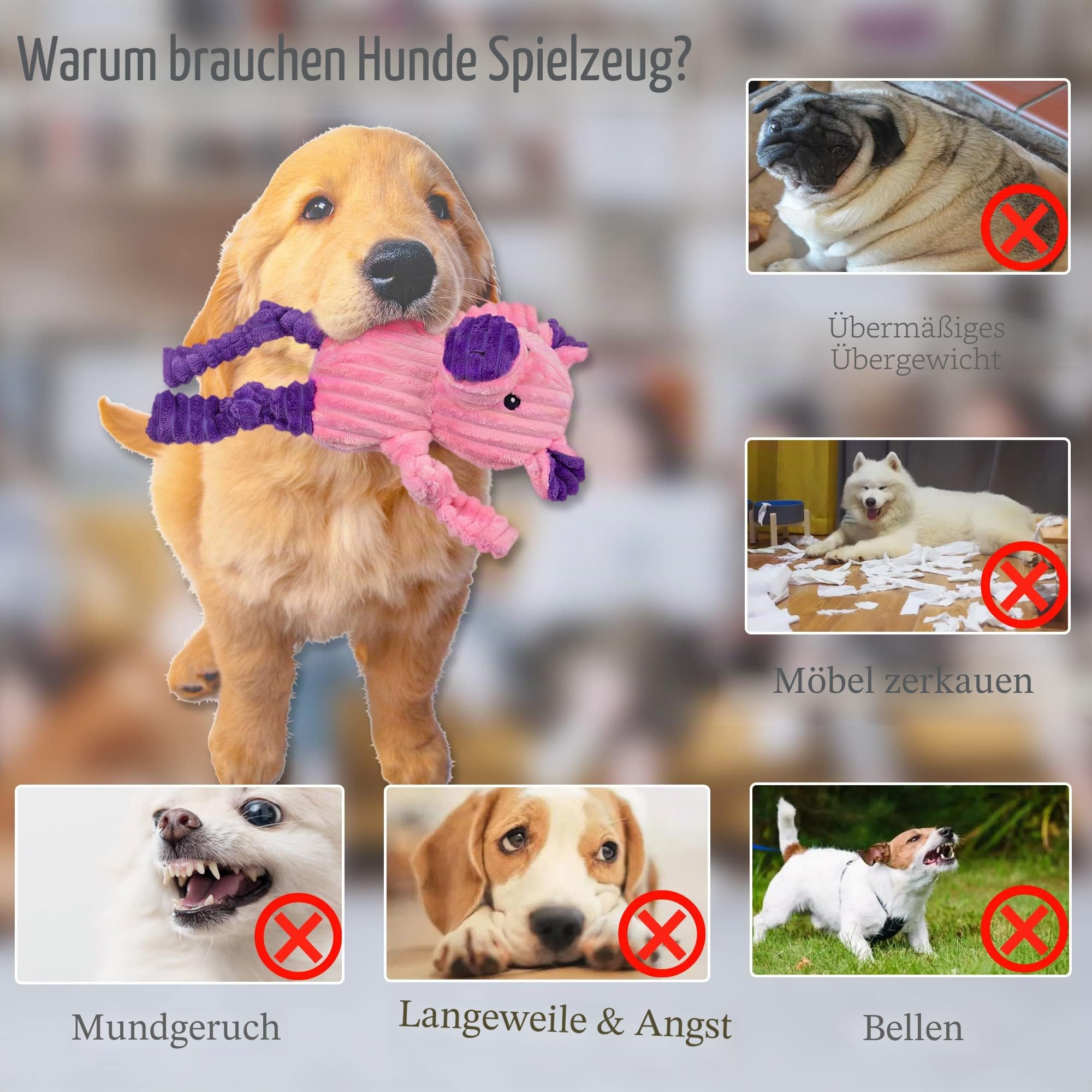 LECHONG 5er-Pack Quietschspielzeug für Hunde, Robuste Plüschtier-Spielzeuge für Große/Mittlere/Kleine Hunde, Kuschelweiches Hundekauspielzeug-Set