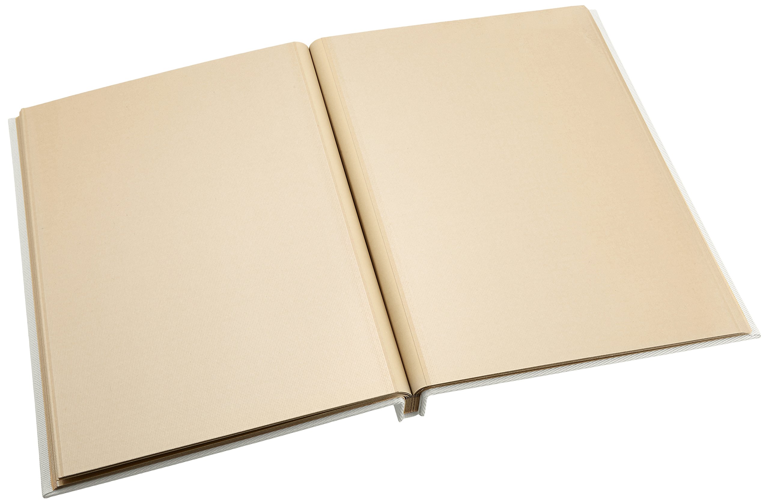 Amazon.co.jp: ナカバヤシ ファイル 外ビス式フリーアルバム