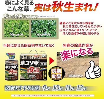 Amazon | レインボー薬品 除草剤 ネコソギトップF粒剤 10kg袋 長期間