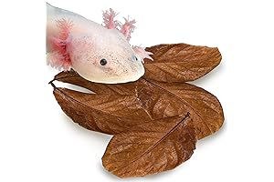 SunGrow Axolotl Tank Water Conditioner Indian Almond Leaves 10 Pack (5-Inch)