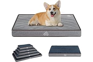 Lay-Z-Boy Deluxe Orthopedic Memory Foam Reviews