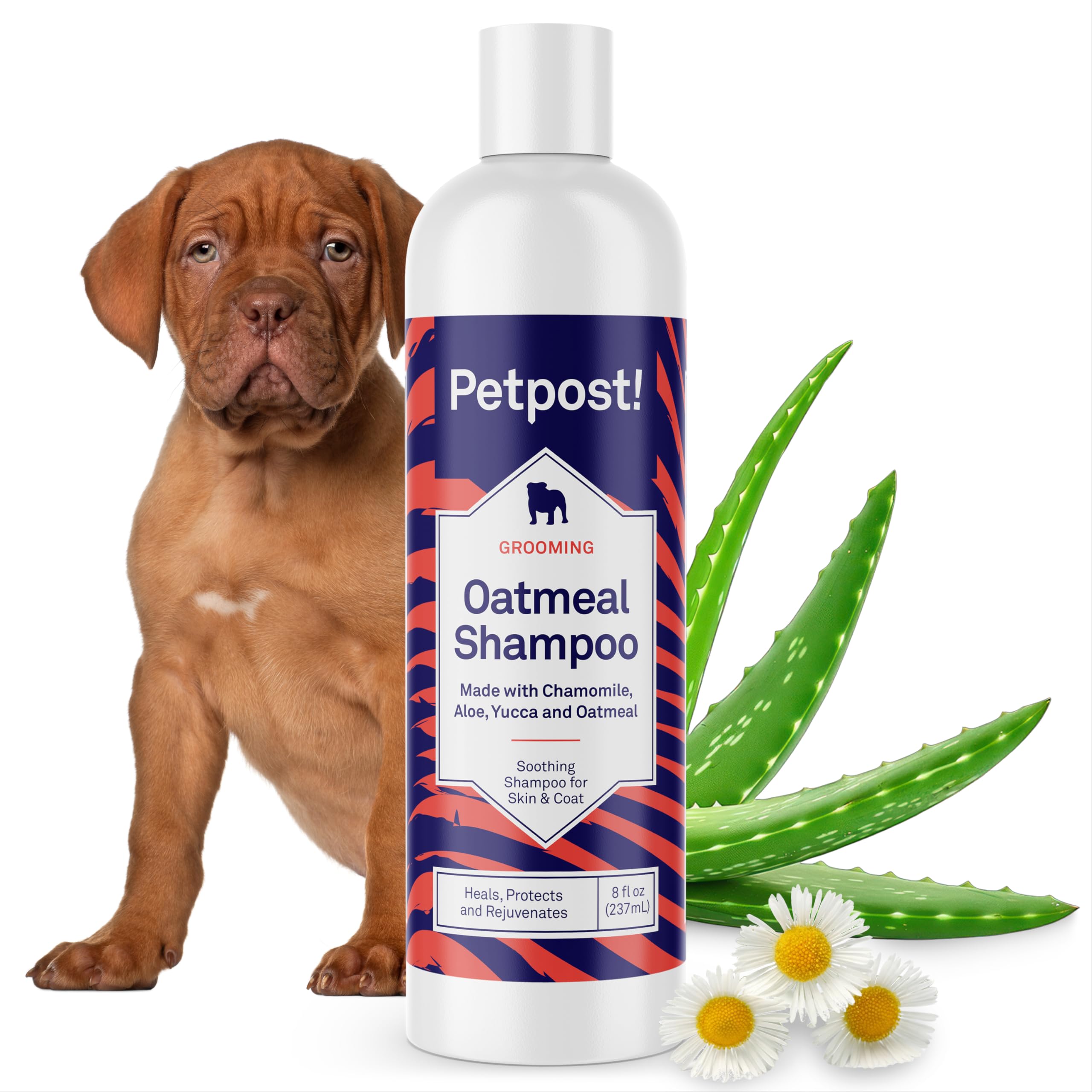 Petpost Oatmeal and Chamomile Dog Shampoo