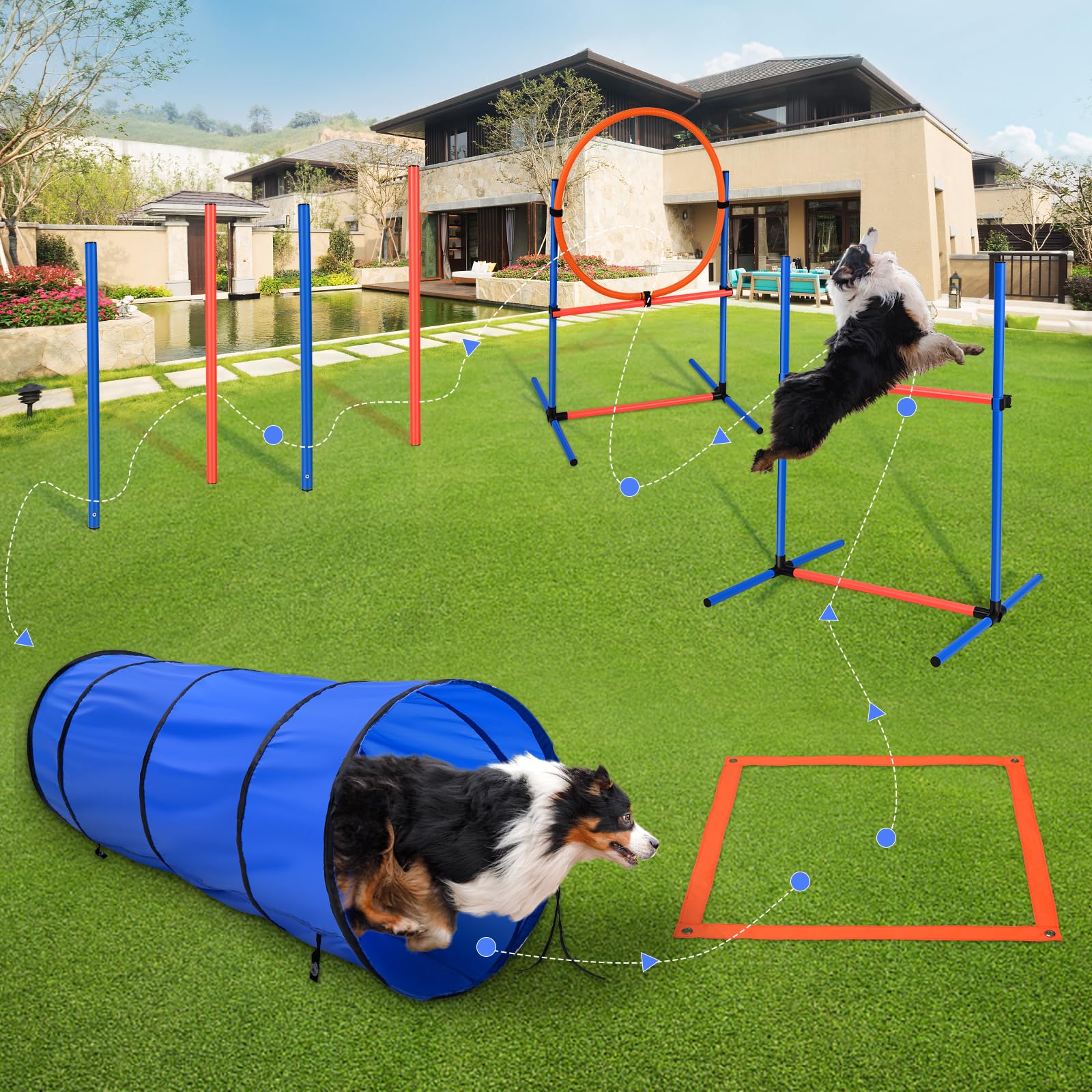 Equipo de Entrenamiento de Agilidad para Perros, Vallas de túnel para Perros, 8 Postes de eslalon, Vallas de Altura Ajustable, Parque, Cuenco Plegable