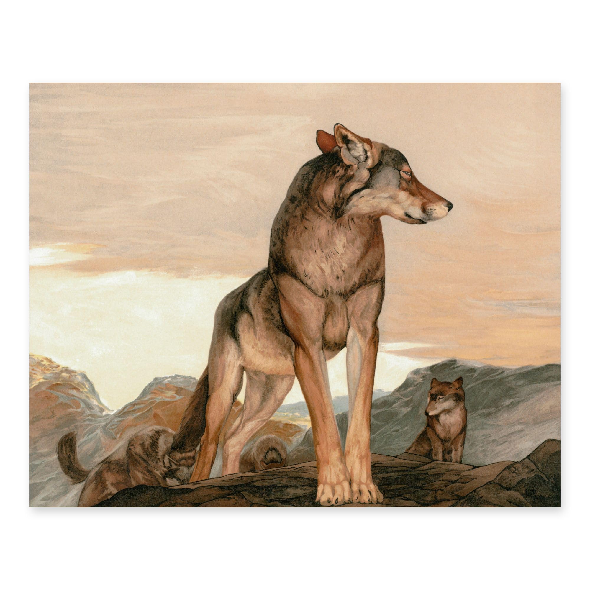 Amazon.com: Lone Wolf Art Print - Mountain Landscape Art