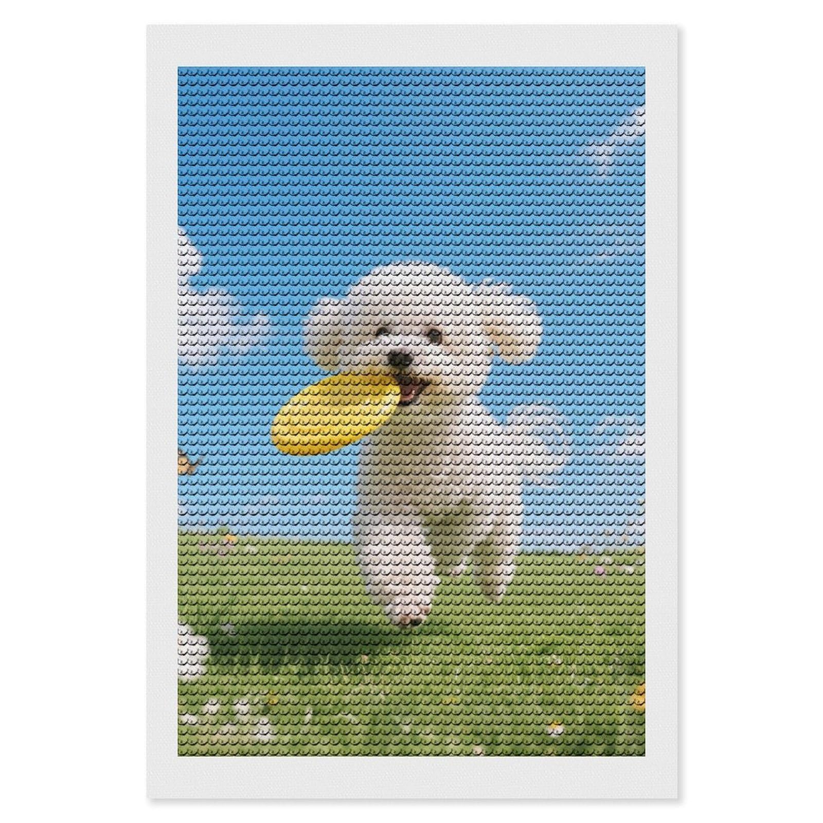 DWVTSLH Bichon Frise Dog Diamond Painting Kits for Adults, Personalized Diamond Photo Art Full Drill, DIY 5D Diamond Art Painting Kits for Beginners, Home Wall Decor 8"x12"