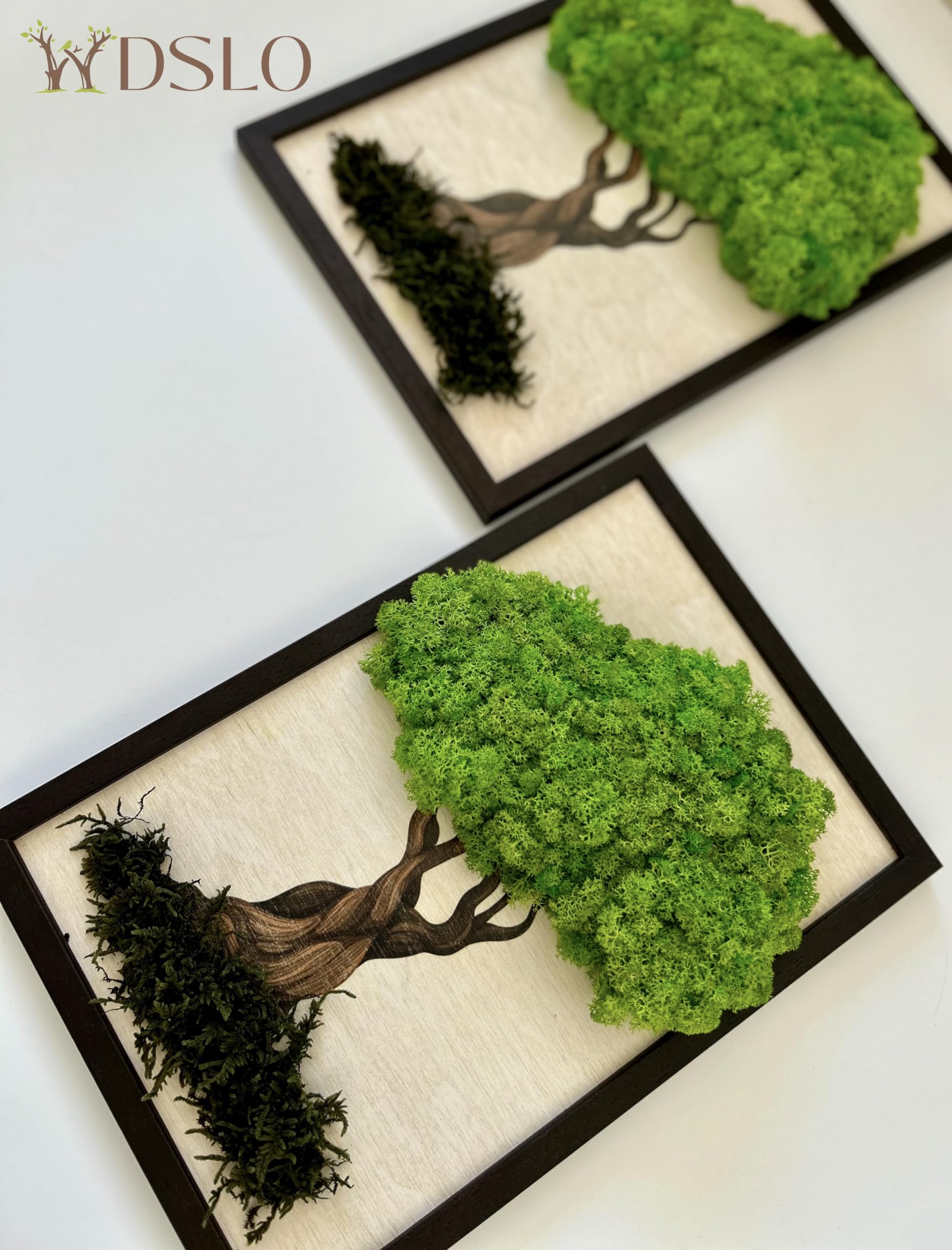 ❣️苔アート❣️苔壁ワイド❣️1点物❣️送料込み❣️ ❣️苔アート❣️苔壁ワイド❣️1点物❣️送料込み❣️ 楽天