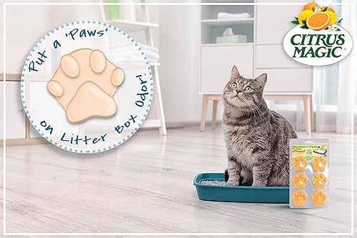 Miniatura 4 de Citrus Magic Eliminador de olores para mascotas, patas de arena, brisa oceánica, 6 unidades
