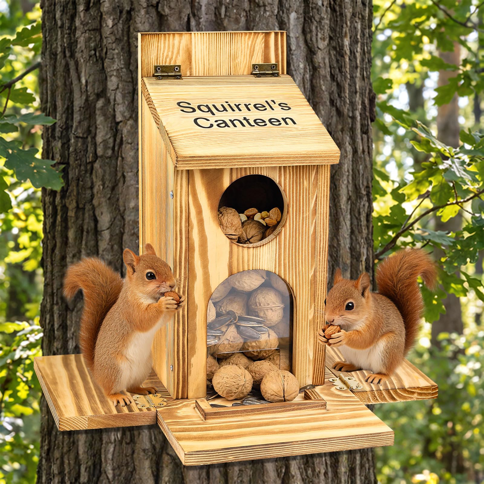 Mangeoire à écureuils en bois pour observer la faune depuis votre terrasse