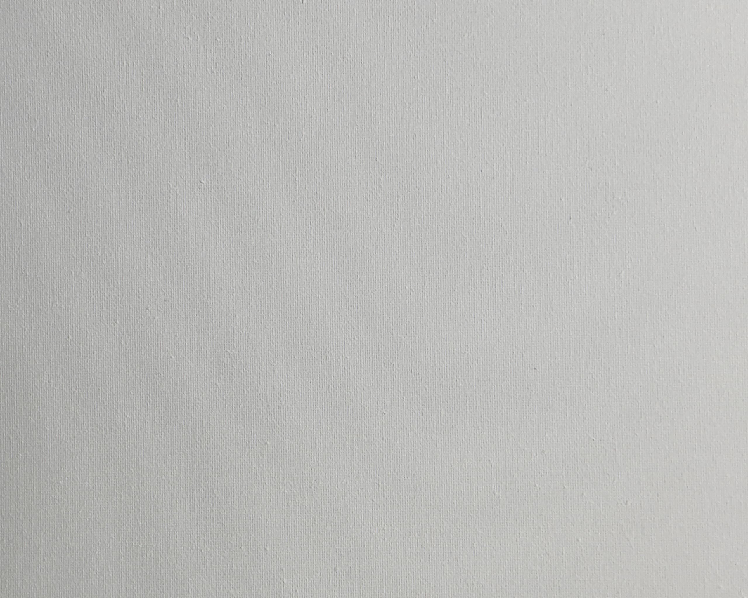Rozciągnięte płótno 45 x 60 cm, 10 sztuk 290 ml, potrójnie zagruntowane, profesjonalne białe płótno artystyczne, 100% bawełna, materiały plastyczne do rzemiosła, zagruntowane Gesso, do oleju, akrylu i