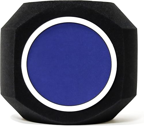 Trademark Innovations Protector de micrófono Protector de aislamiento de filtro de micrófono para grabar música