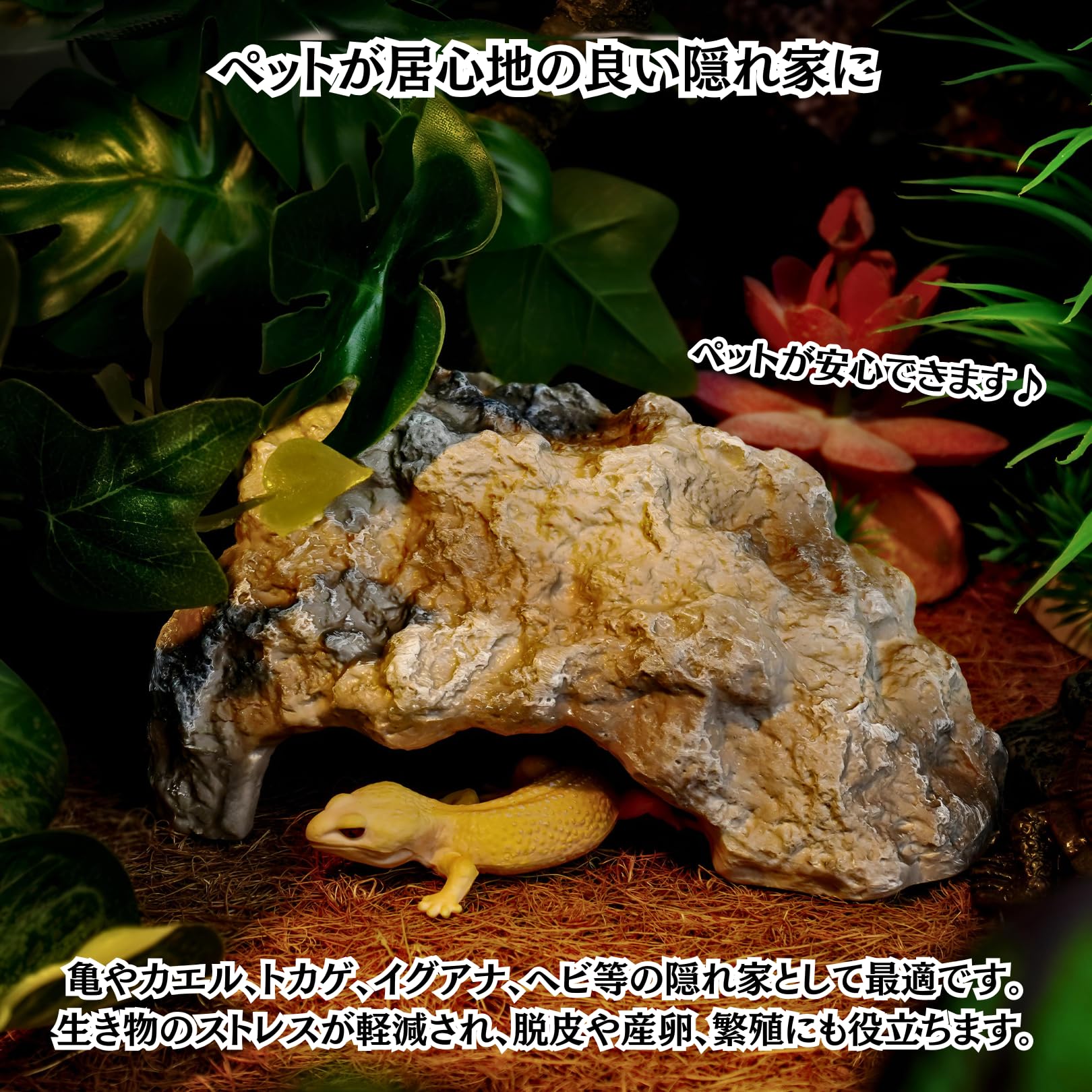 Charmoon 爬虫類 両生類 シェルター 岩 レオパ トカゲ 亀 ヘビ カエル 飼育 隠れ家 寝床 (Sサイズ) - 3