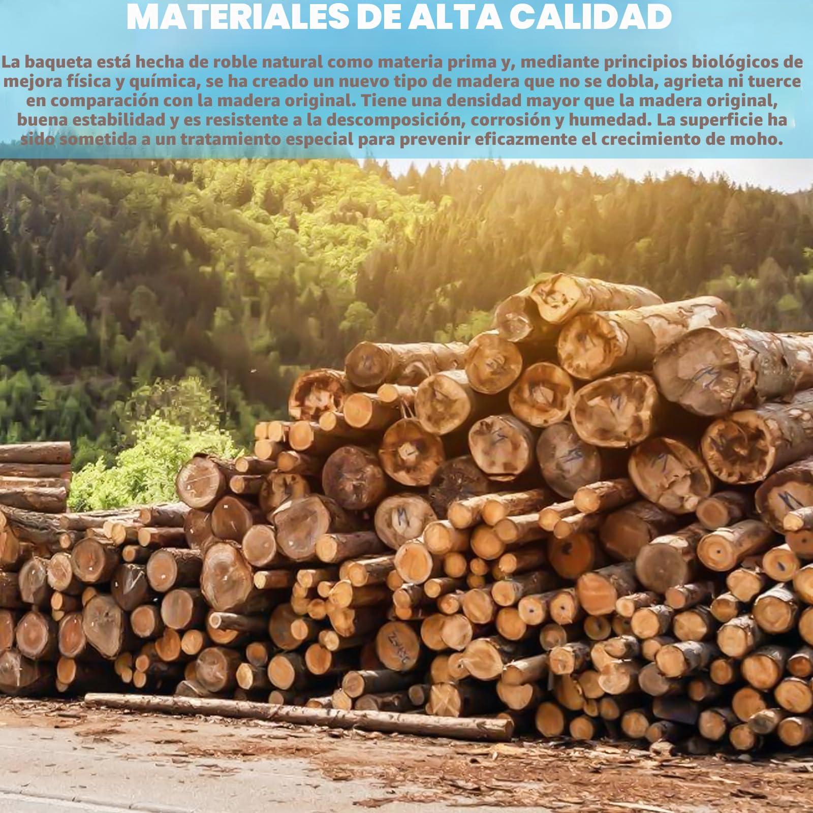 5A 12 pares de baquetas de arce 5A, baquetas clásicas antimoho con forma de cabeza ovalada, para adultos, niños y principiantes, para tambores electrónicos de jazz
