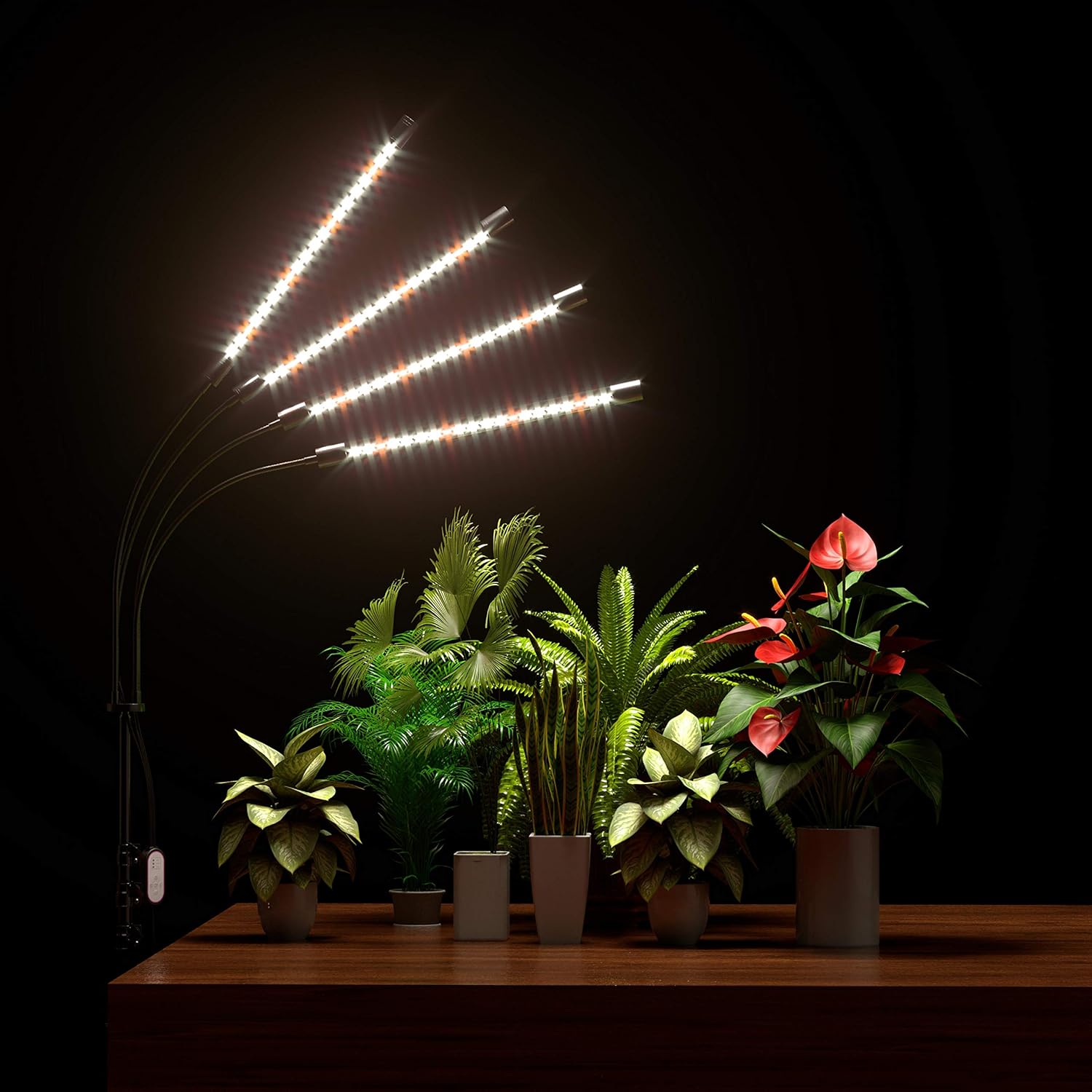 Indoor plants illuminated by mixed red and white spectrum grow lights.