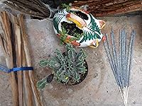 Vista 2 de Palitos de incienso Teomati Sacred Copal