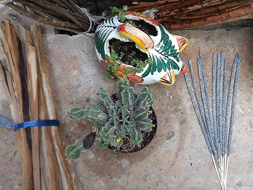 Miniatura 2 de teomati Sacred CopalVarillas de incienso