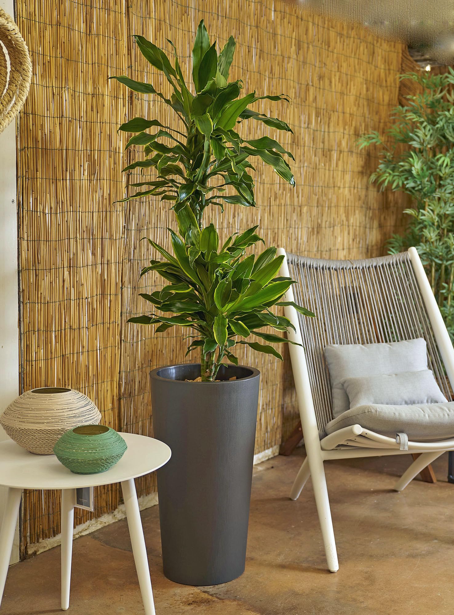 Euro3plast Tuit Raw Blumentopf mit Einsatztopf in 2 Größen: 33 cm Ø x 61 cm hoch oder 40 cm Ø x 73 cm hoch aus Kunststoff 6 Farben zur Wahl Drinnen- und Draußen (Anthrazit, 61 cm)