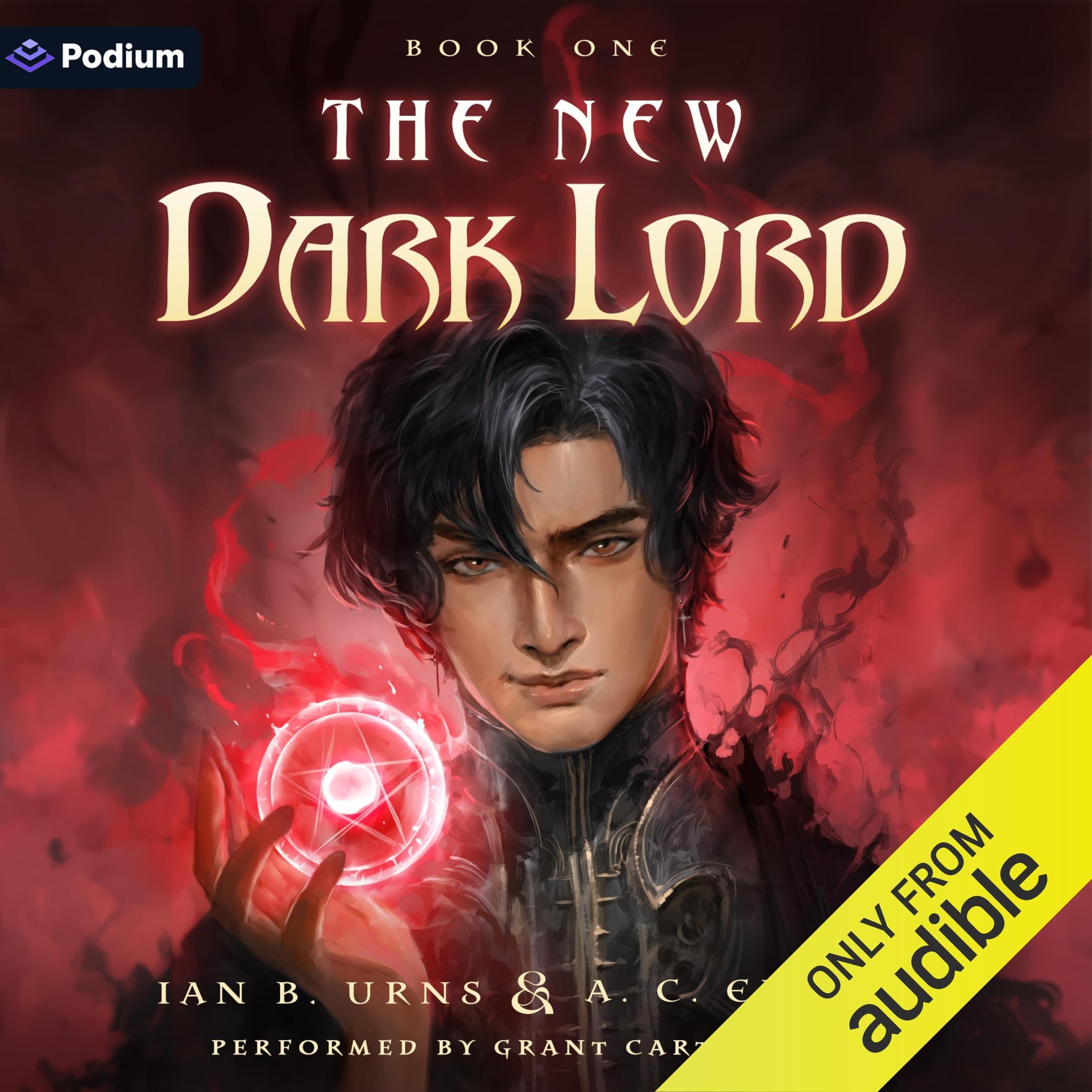 Cover art for The New Dark Lord: An Isekai Progression Fantasy