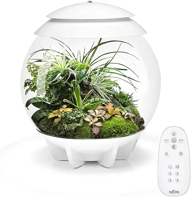 biOrb AIR 30 weiß - Automatisiertes Terrarium mit LED-Beleuchtung für Pflanzen