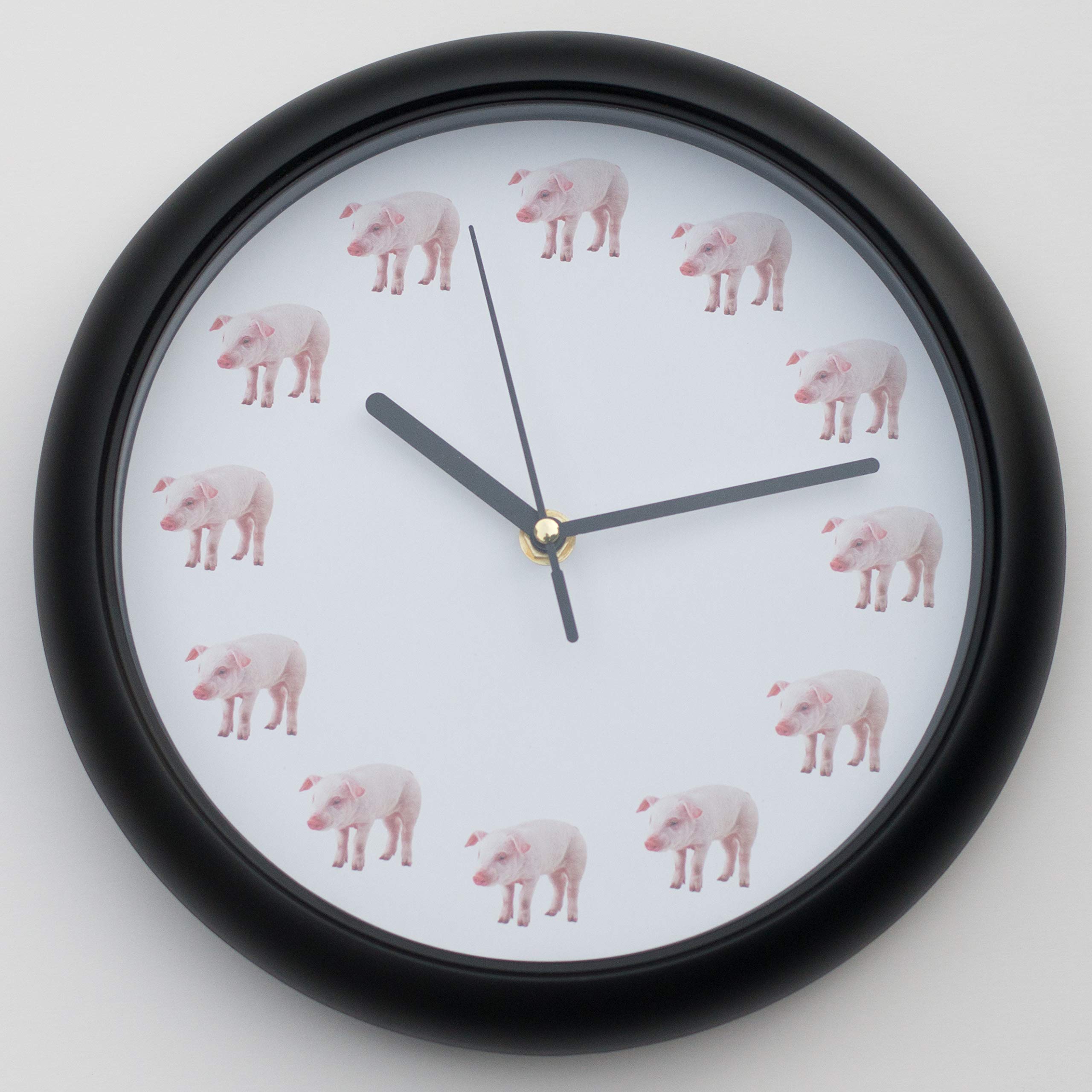 JacksDogMax Analog Wall Clock 10 inch 10 inch