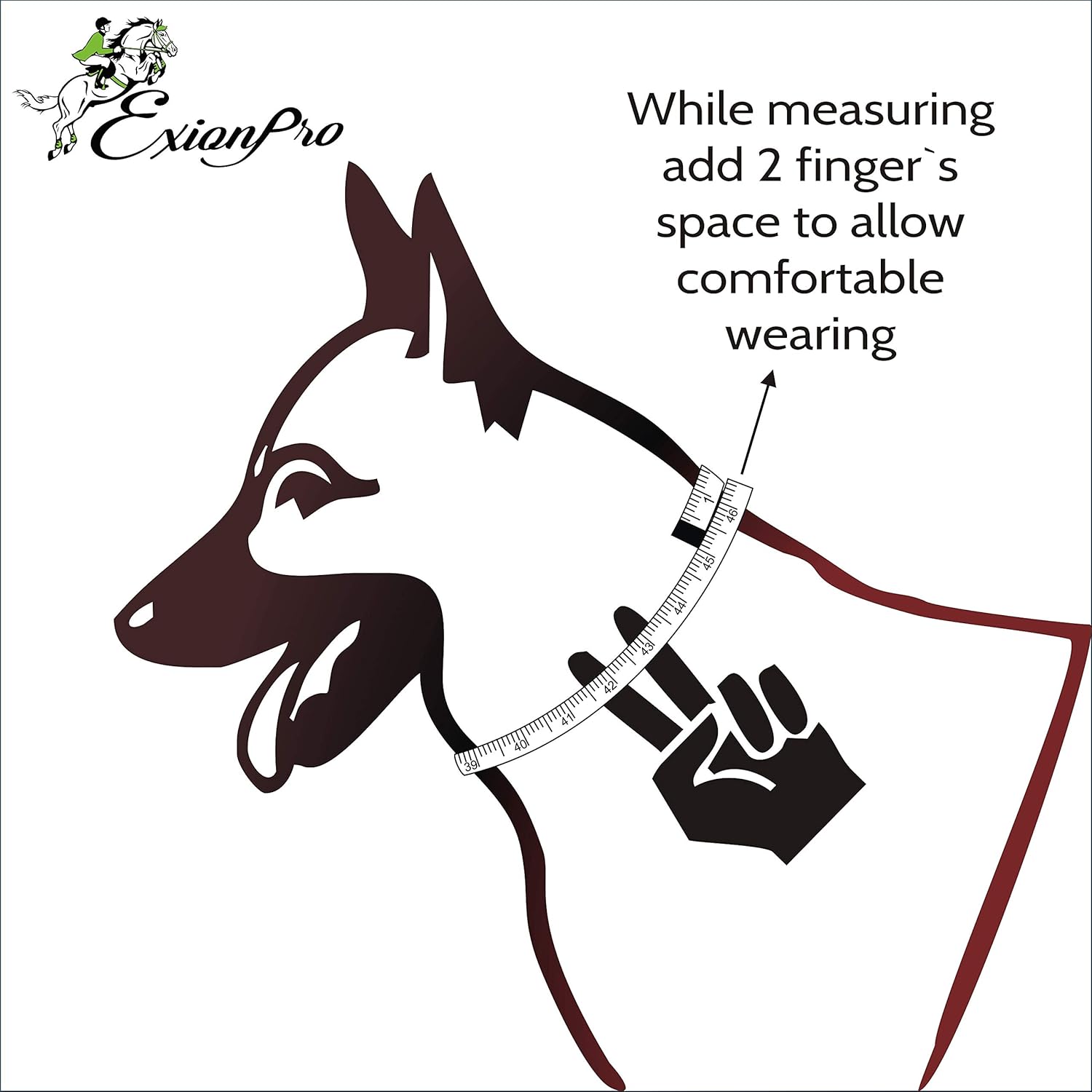 Exion Geniun Leather Dog Collar Designer Stitched Soft Leather Padded- Suitable for Small Medium Large X-Large Dogs for Walking Running- Black with Beige Padding