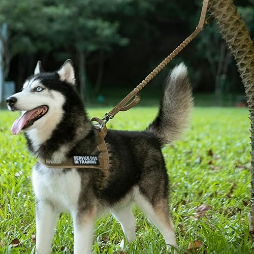 Miniatura 8 de EXCELLENT ELITE SPANKER Correa táctica para perros de nailon ajustable con un tramo elástico de liberación rápida con 2 asas de control