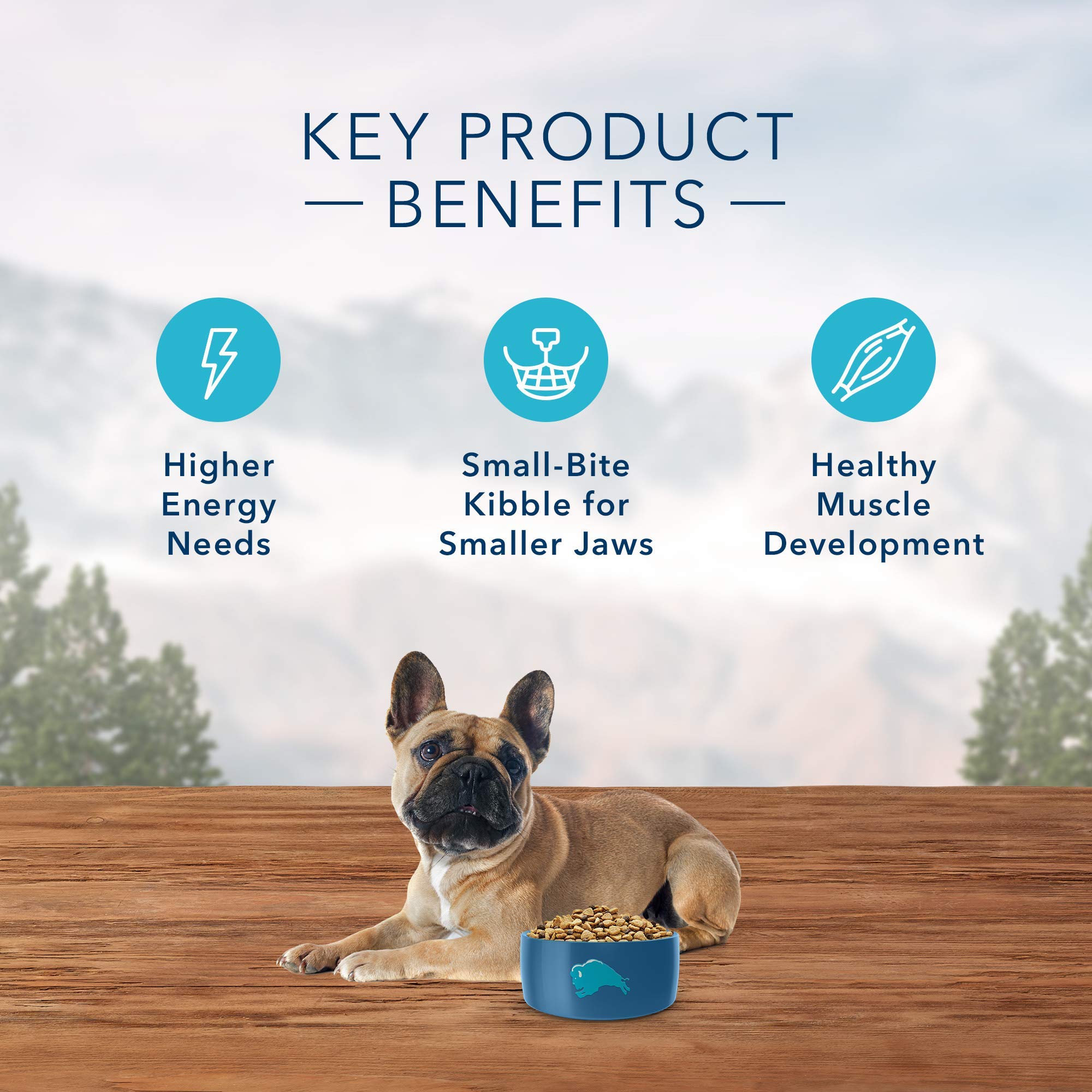 blue mountain small breed dog food