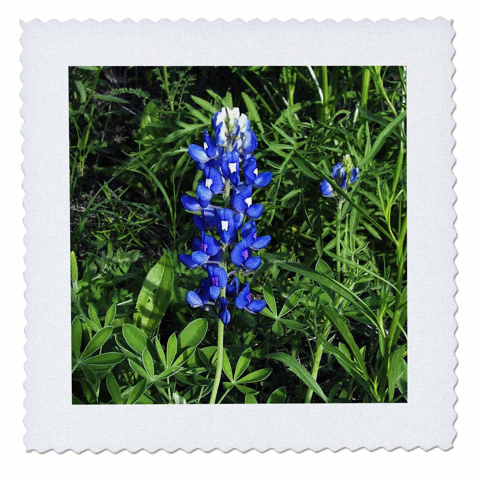 3dRose qs_21052_1 Bluebonnet Quilt Square, 10 by 10-Inch