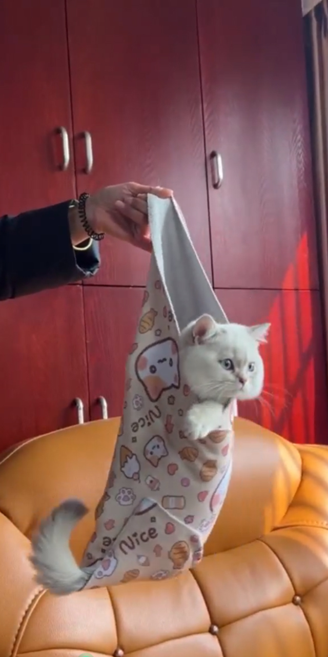 27.6" Cat Grooming Wrap Cat Wrap for Cutting Nails Cat Restraint for Nail Clipping Cat Swaddle Wrap Cat Burrito Wrap L(Within 15lbs) Anti-Scratch Anti-Escape Multifunctional Pet Tool - image 8