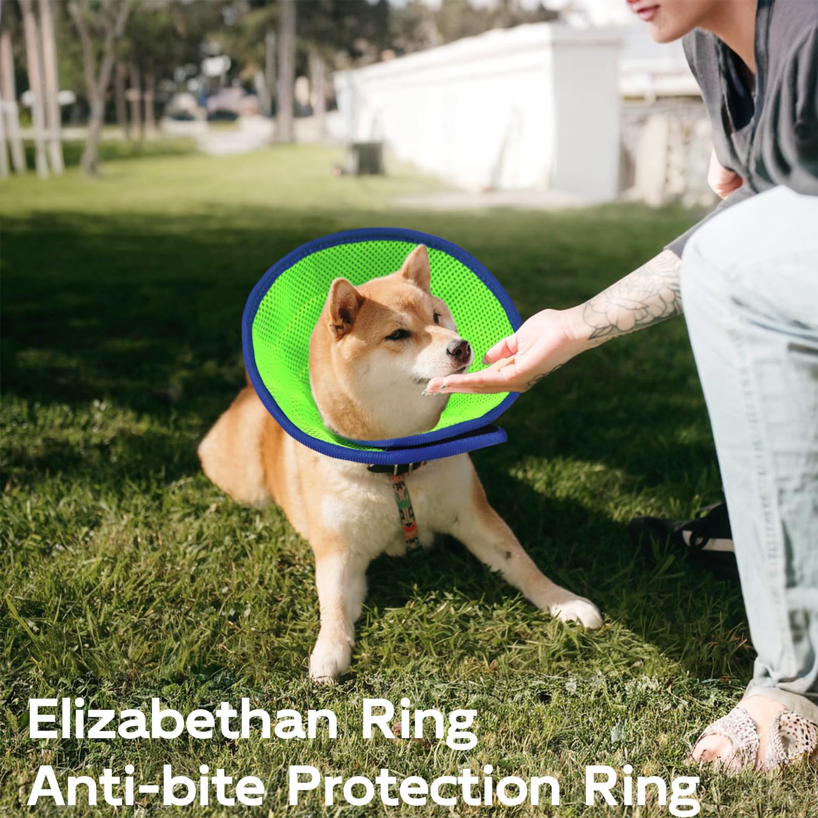 Recovery Collars for Dogs and Cats Adjustable Soft Dog Cone Collar for Prevent Licking with Dog Bath Brush Pet Protective Neck Collar After Surgery (Blue - Image 2