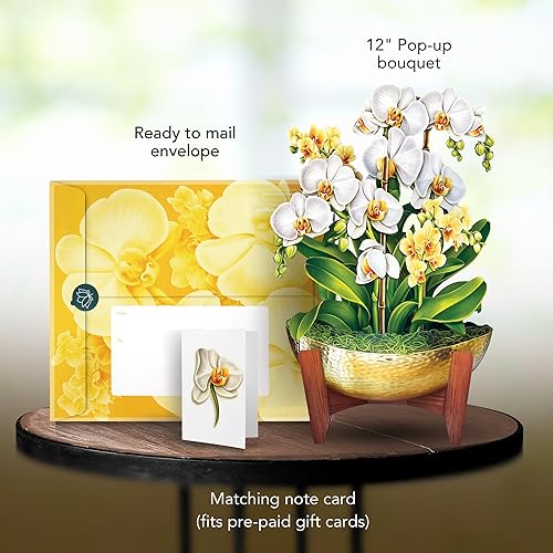 Miniatura 2 de Freshcut Paper Tarjetas desplegables, orquídea serenidad, ramo de flores de tamaño real de 12 pulgadas, tarjetas de felicitación emergentes 3D,