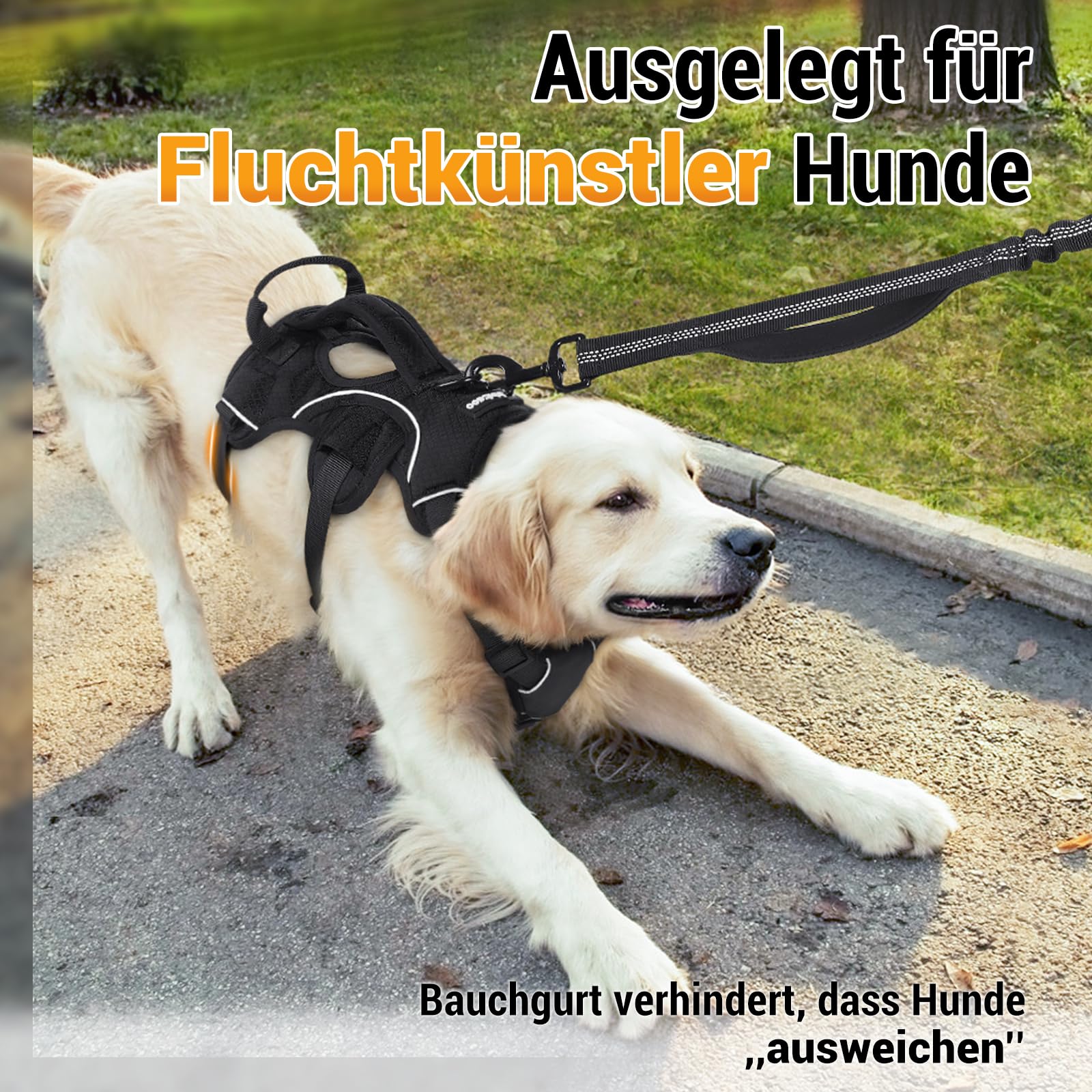 rabbitgoo Ausbruchsicheres Hundegeschirr Mittelgroße Hunde mit Griff, Anti Zug Sicherheitsgeschirr Hund Atmungsaktiv, Verstellbare Brustgeschirr, Gepolstertem Hundeweste, Panikgeschirr, Schwarz M