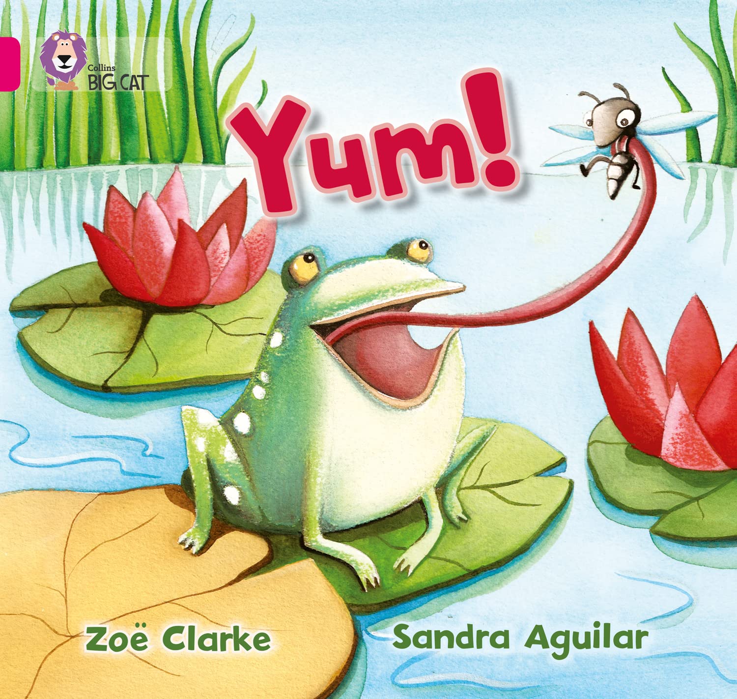 Collins Big Cat - Yum: Band 01A/Pink A By Zoe Clarke, Sandra Ag .9780007412778