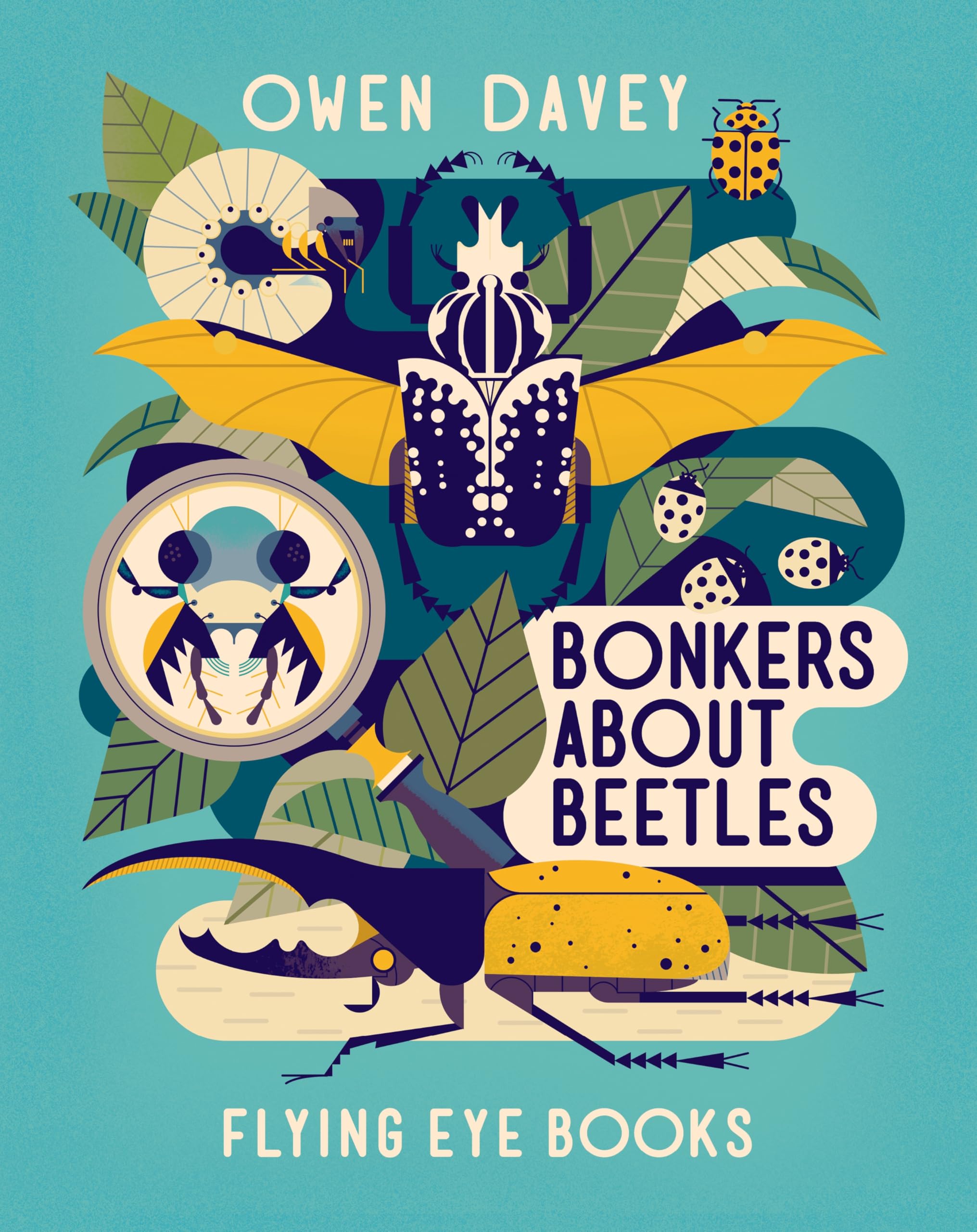 Bonkers About Beetles by Owen Davey (About Animals Series) - Age 7+ - PB