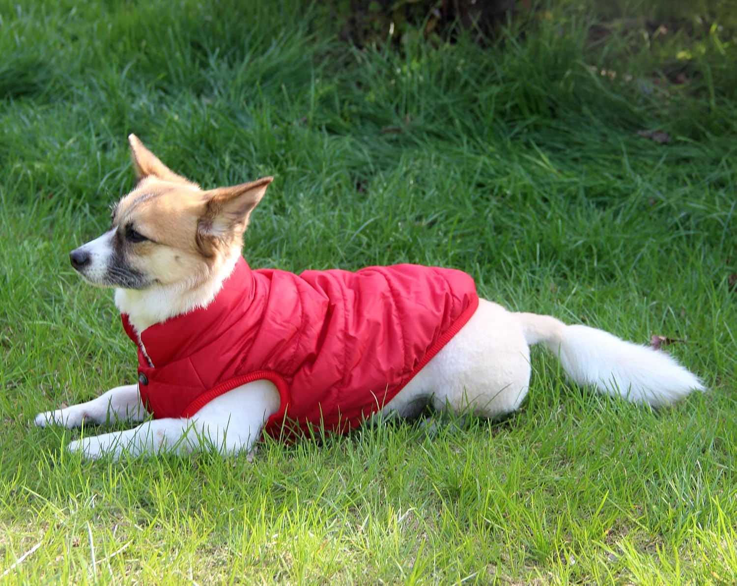 JoyDaog 2 Layers Fleece Lined Warm Dog Jacket for Winter Cold Weather,Soft Windproof Large Dog Coat,Red XXXL - Image 4