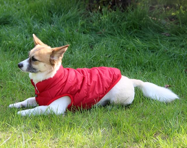 Foto 4 de 8 de JoyDaog - Chaqueta de perro con forro polar de 2 capas para invierno y clima frío, extra suave, a prueba…